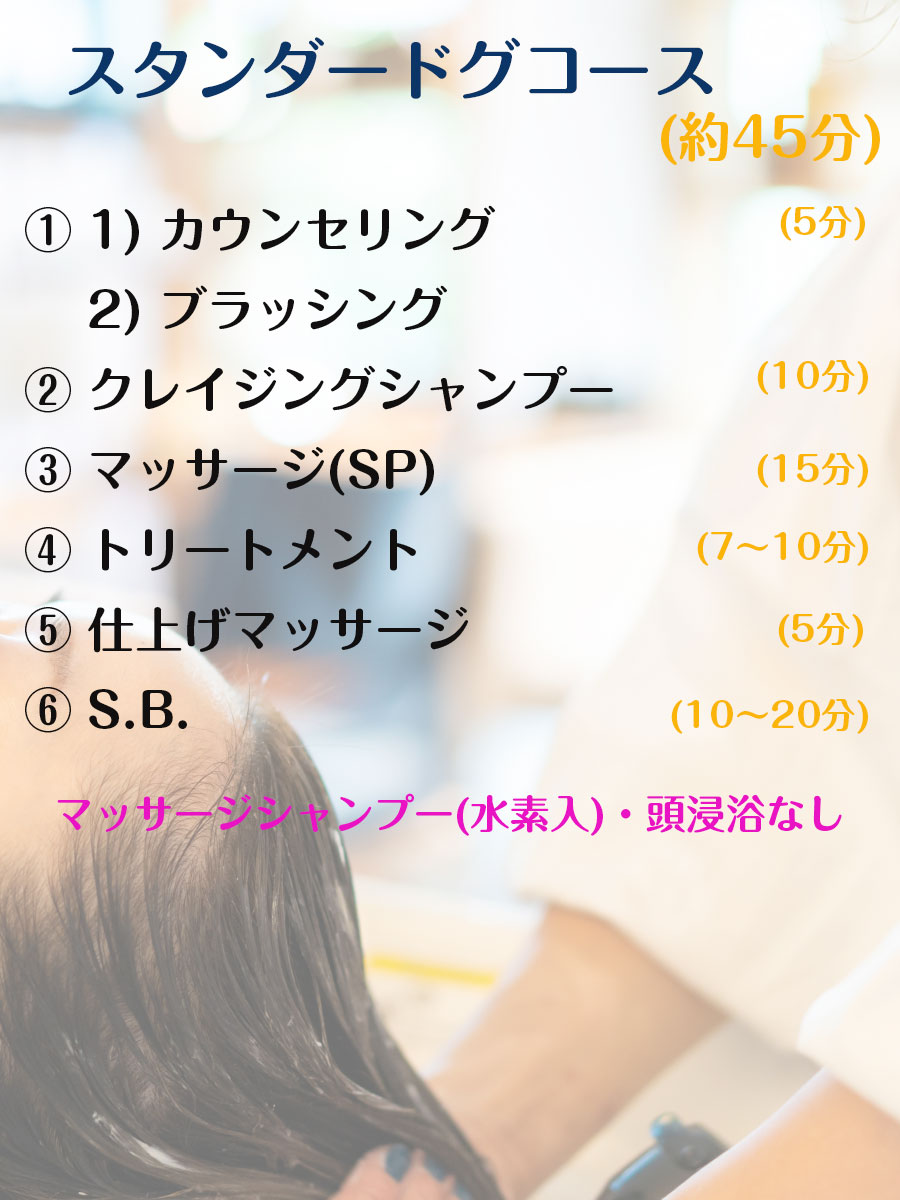 スタンダードコース